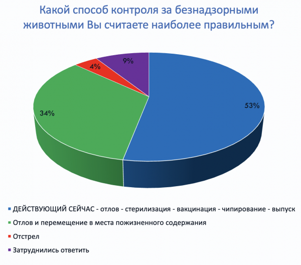 Позитивный опыт общения с бродячими собаками от Елены Шаройкиной