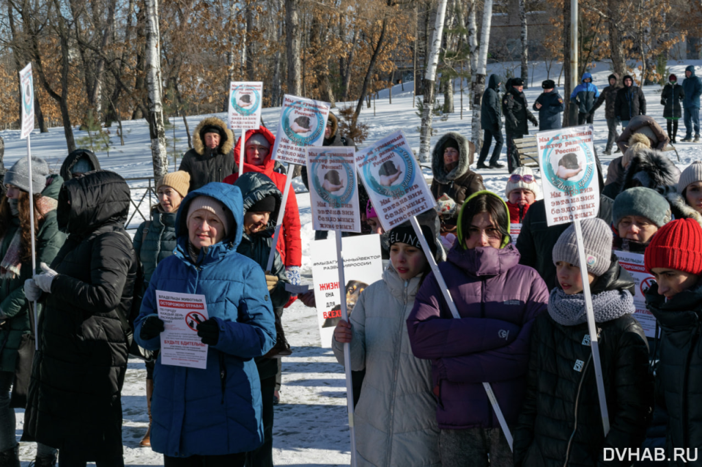 Манипуляции в знаменитой речи на зоозащитном хабаровском митинге