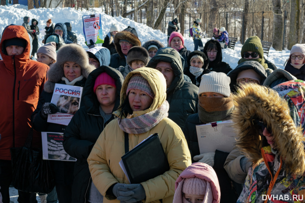 Манипуляции в знаменитой речи на зоозащитном хабаровском митинге