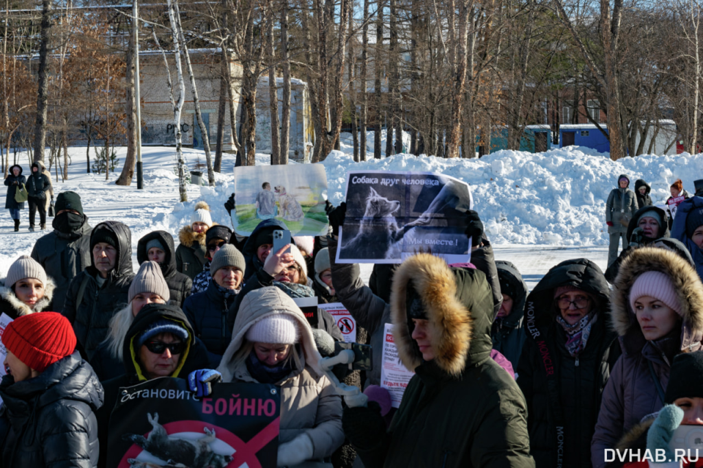 Манипуляции в знаменитой речи на зоозащитном хабаровском митинге