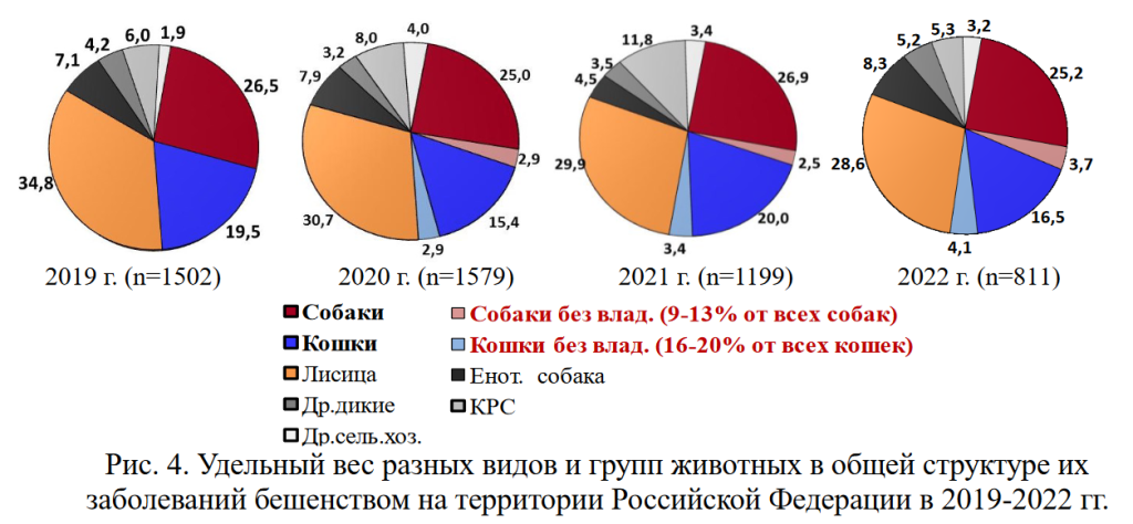 В 2022-23 годах три человека скончались от бешенства - их покусали бродячие собаки и кот.