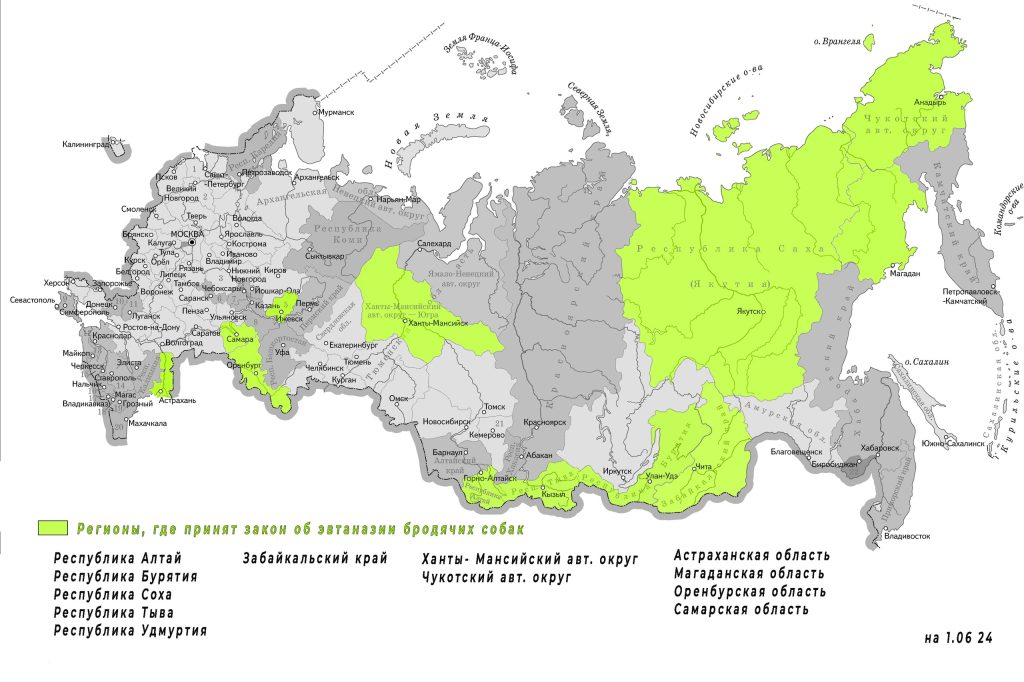 Регионы, в которых приняты законы об усыплении бродячих собак