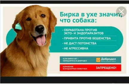 И эту трагедию можно было избежать