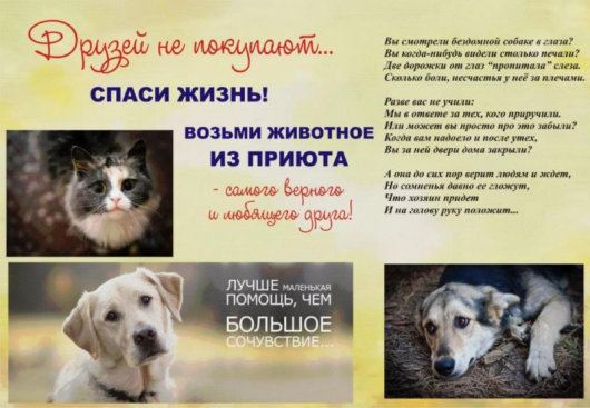 И эту трагедию можно было избежать
