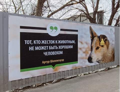 И эту трагедию можно было избежать