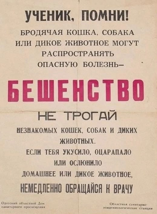 В 2024 году от бешенства умерли 7 наших сограждан